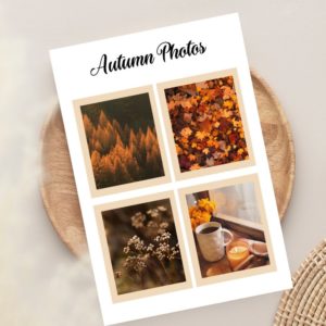 foto autunno grandi adesive