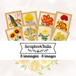 immagini fiori retrò